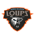 COLLÈGE CATHOLIQUE MER BLEUE logo