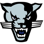 GIRLS CUMBERLAND PANTHERS FOOTBALL logo