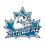 OTTAWA ICE HOCKEY logo