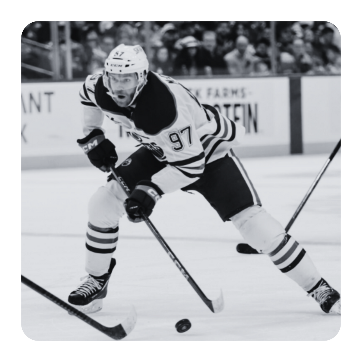 Hockey New Arrivals