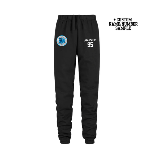 February Freeze Sweatpants | CX2 Dash