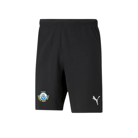 Ottawa Swim Club Shorts | Puma -  Heat Press Circle Logo