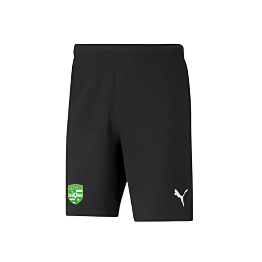 Hornets Puma Teamrise Shorts | Heat Press