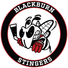 BLACKBURN STINGERS logo