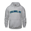 COLONEL BY VAULT COTTON HOODIE WITH FRONT TWILL APPLIQUÉ