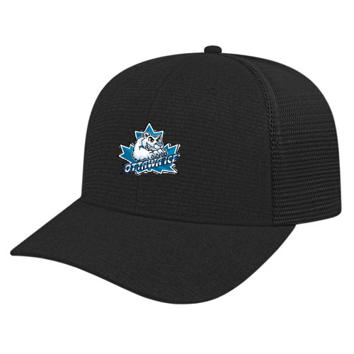 OTTAWA ICE BALL CAP