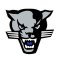 Cumberland Panthers Football logo