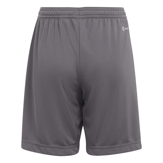 adidas Entrada 22 Shorts