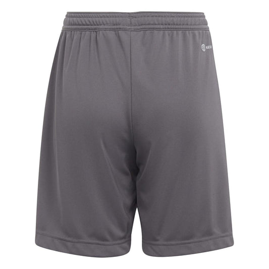 adidas Entrada 22 Shorts