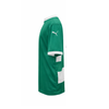 Hornets Puma Celtics Game Jersey | Heat Press Number Included