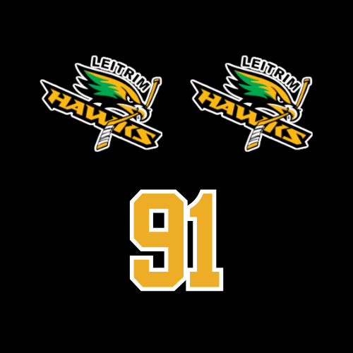 LEITRIM HAWKS HELMET STICKER CONTAINS 2 LOGOS AND 1 NUMBER