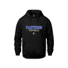 Cumberland Panthers Football Hoodie | CX2 Vault - Heat Press