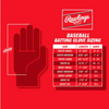 Batting Gloves Workhorse | Rawlings Adult