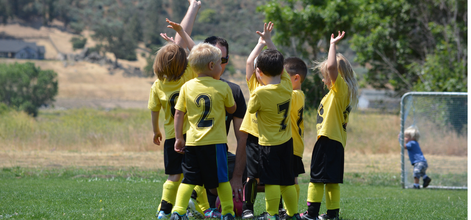 Houle Sports Excellence