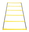 Elevation Ladder - Sports Excellence
