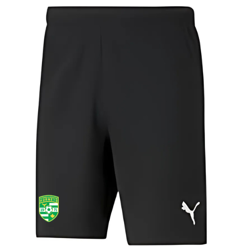 HORNETS PUMA TEAM RISE SHORTS WITH PRESS ON LOGO