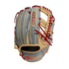 A2000 Baseball Glove